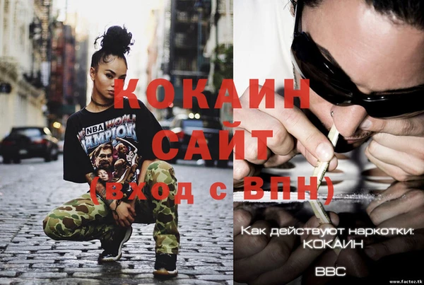 мяу мяу мука Новодвинск