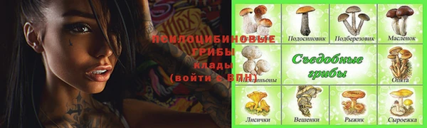 мяу мяу мука Новодвинск