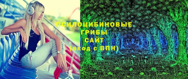 эйфоретик Новозыбков