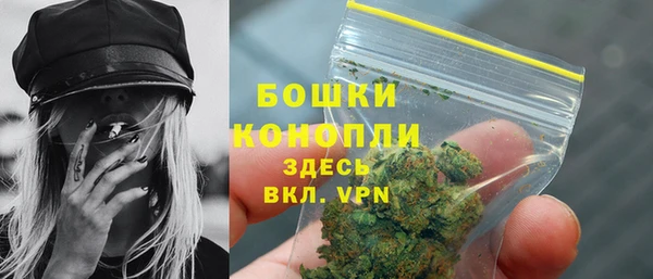 эйфоретик Новозыбков
