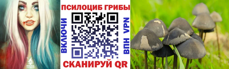 Галлюциногенные грибы MAGIC MUSHROOMS  купить наркоту  Малая Вишера 